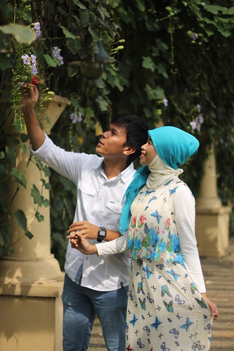 &#91;Galery&#93; suryowidiyanto