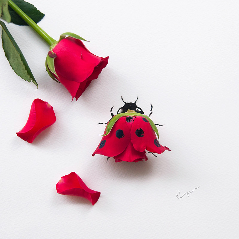 FLOWER PETAL ART YANG INDAH BINGGO &#91;COOL PIC INSIDE&#93; 