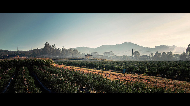 rumah-olympus---part-3