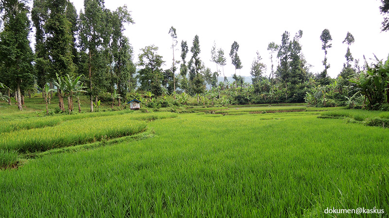 kaskus-image