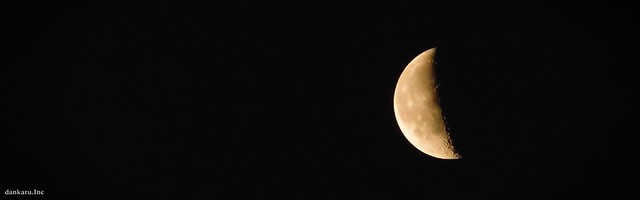 review-sekaligus-curhat-about-sony-dsc-h200