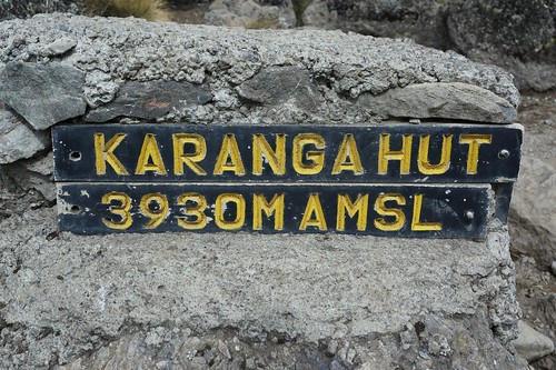 Mt. Kilimanjaro &amp; Mt. Kenya (2014)