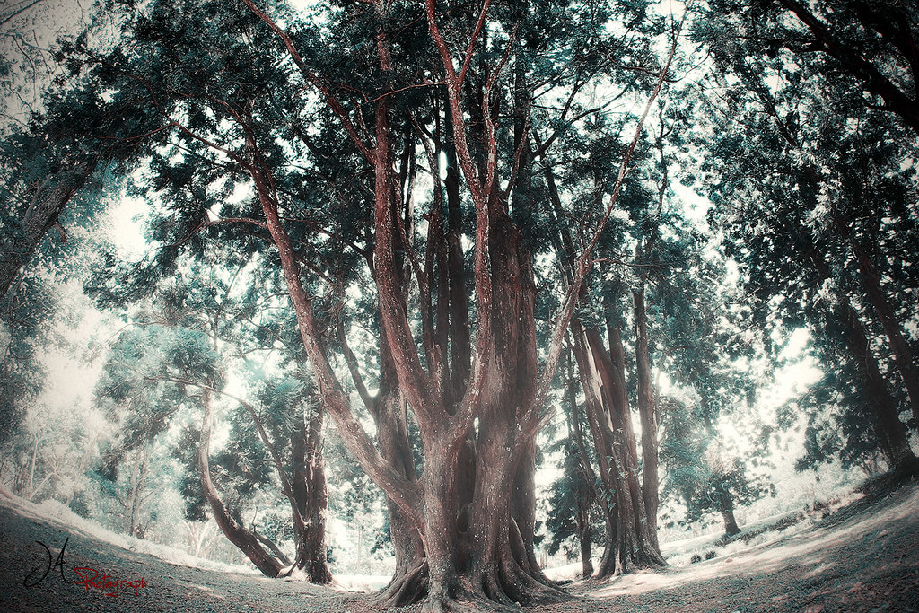 kampung-canoners---part-15