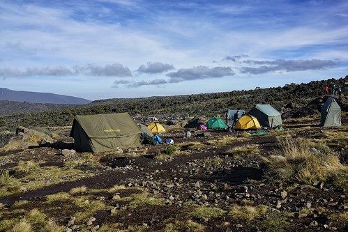 Mt. Kilimanjaro &amp; Mt. Kenya (2014)