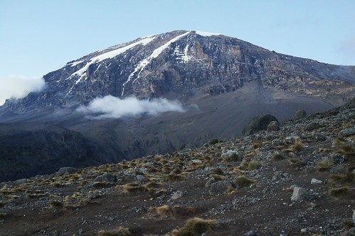 Mt. Kilimanjaro &amp; Mt. Kenya (2014)