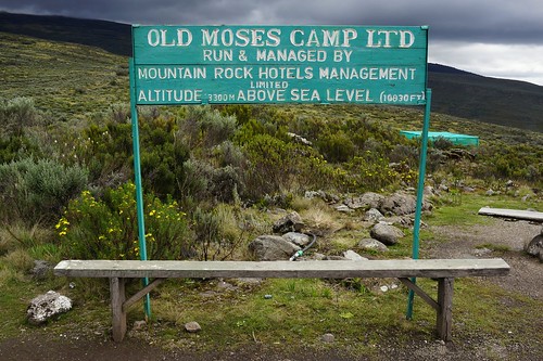 Mt. Kilimanjaro &amp; Mt. Kenya (2014)