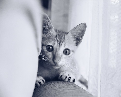 kavling-fujifilm---part-4