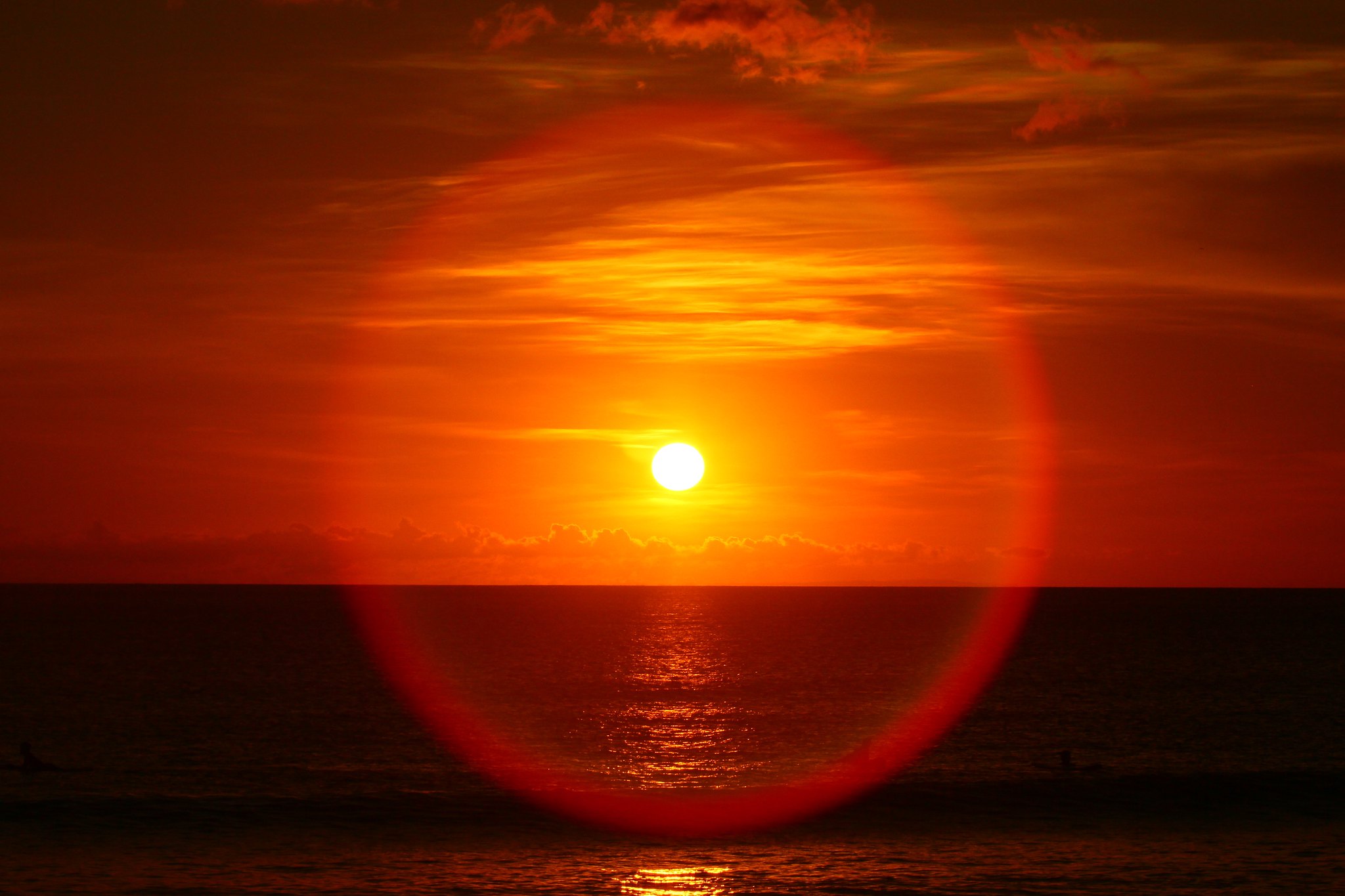 regional-surabaya-forest-v20--sekitarnya---part-6