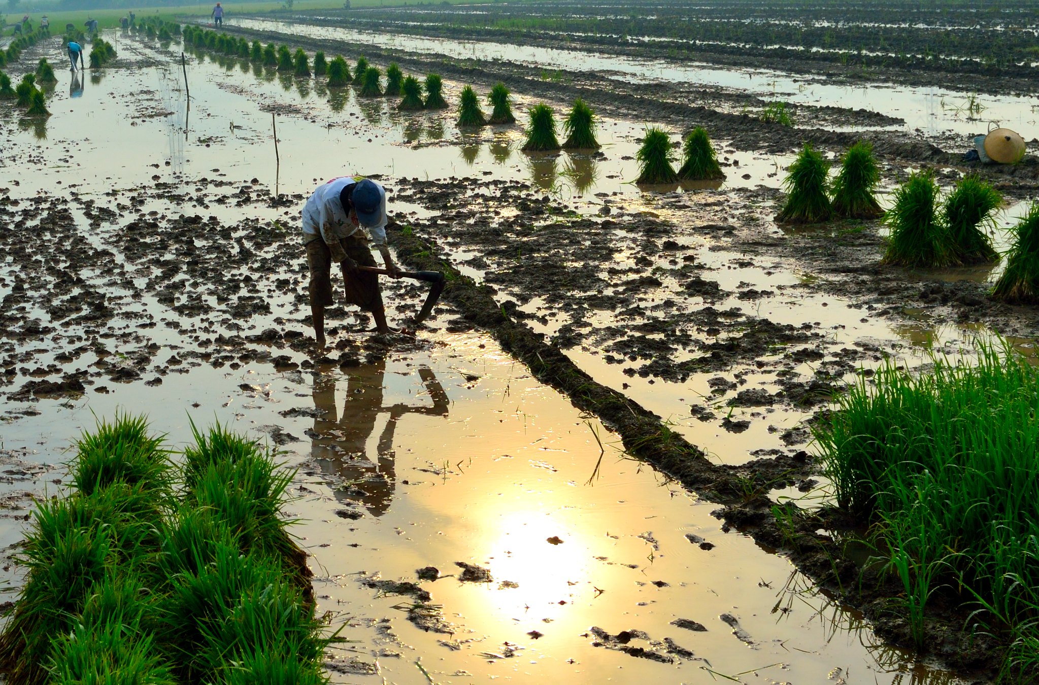 alun-alun-nikonian---part-13