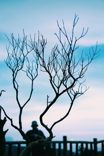 kavling-fujifilm---part-4