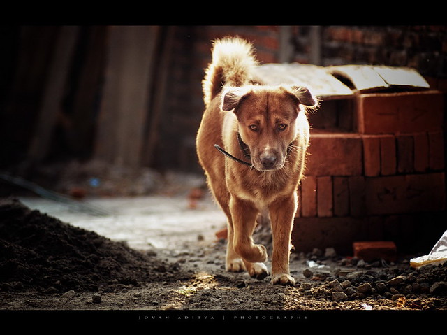 nongkrong-bareng-kritik-jujur-dan-brutal