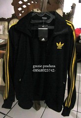 Testi Grazie.Pradana