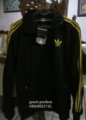 Testi Grazie.Pradana