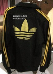 Testi Grazie.Pradana