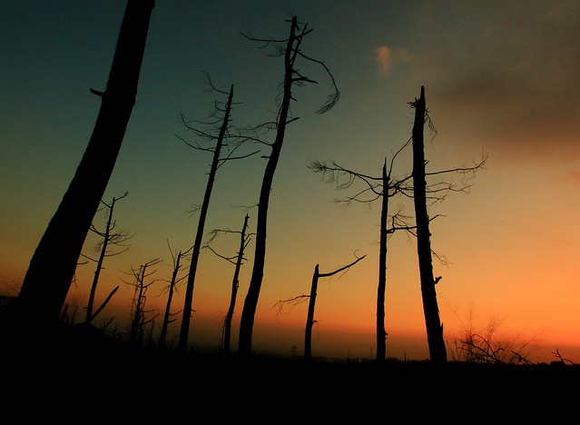 nongkrong-bareng--sunset-hunter-photography