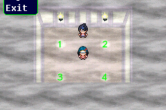 pokemon-flora-sky-another-cool-hacked-pokemon