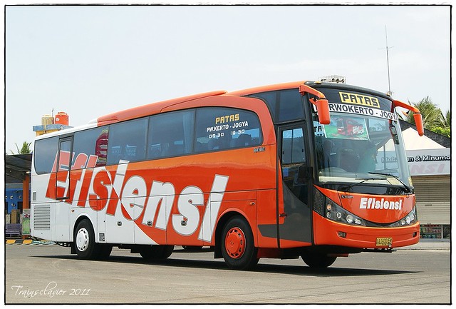 TOP 40 PO. BUS TERBAIK INDONESIA