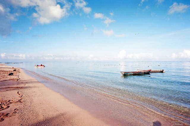 Nongkrong Bareng, Analog / Film Camera - Part 4