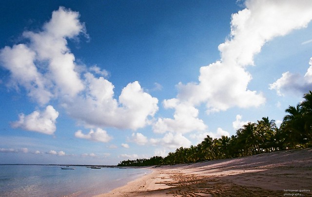 Nongkrong Bareng, Analog / Film Camera - Part 4