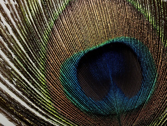 rumah-olympus---part-2