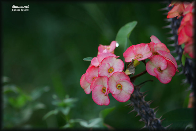 regional-balikpapan--sekitarnya