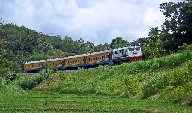 Pemandangan Indah &amp; Info Kereta Api di Banyuwangi