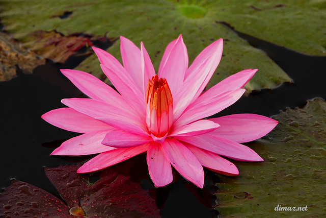 regional-balikpapan--sekitarnya