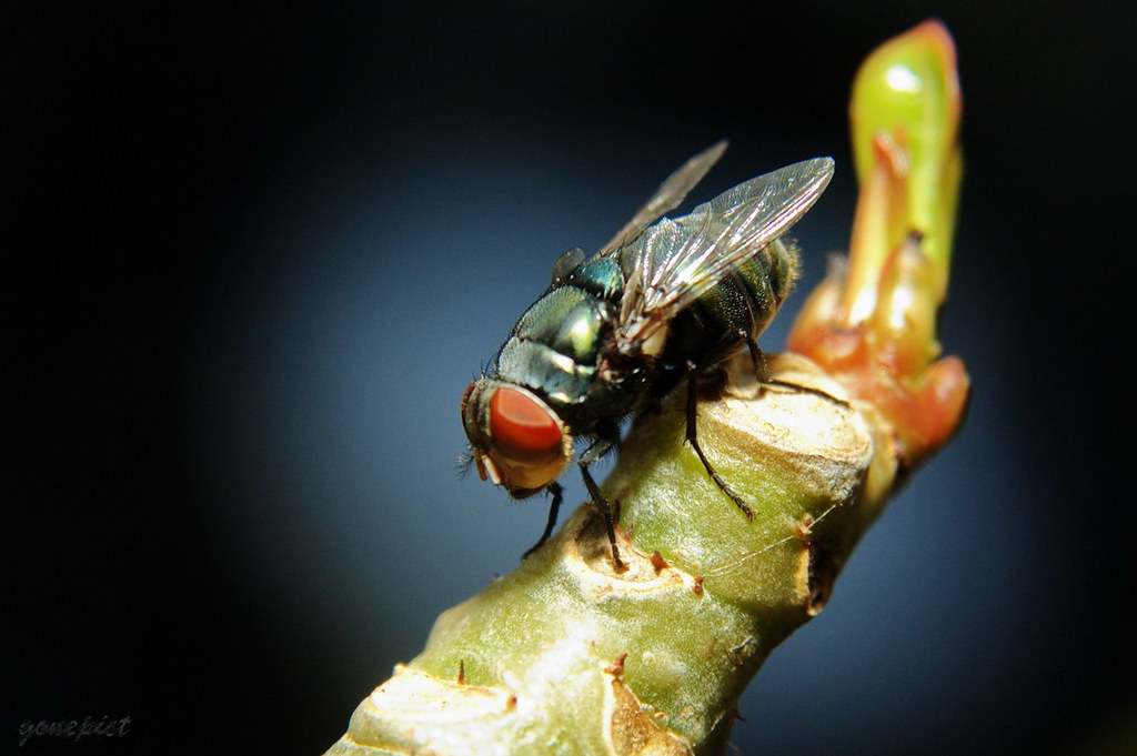 nongkrong-bareng-kritik-jujur-dan-brutal
