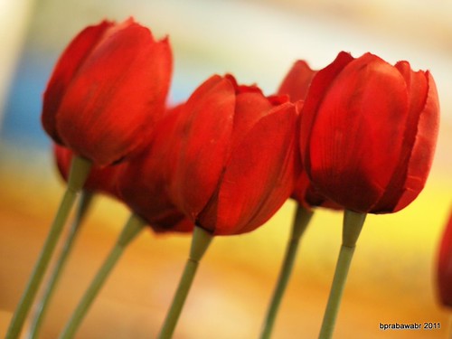 rumah-olympus---part-2