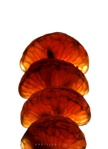 nongkrong-bareng-kritik-jujur-dan-brutal