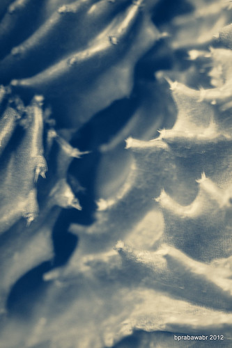 photo-games-foto-di-bawah-saya