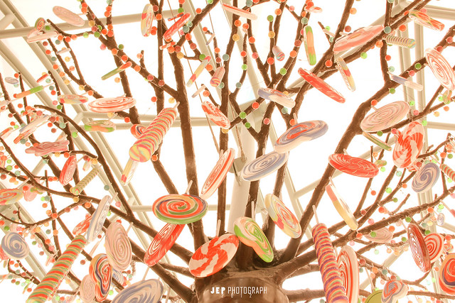 nongkrong-bareng-yang-masih-amatiran-dan-newbie---part-4