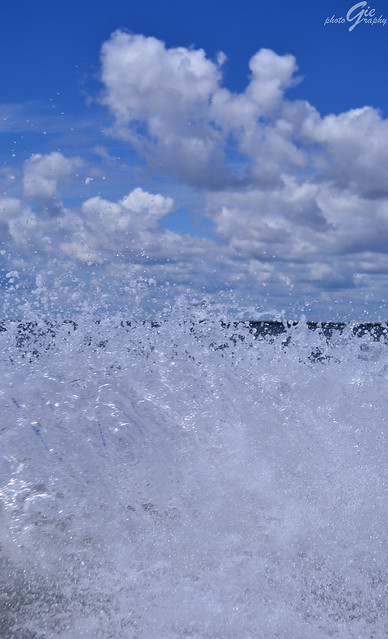 alun-alun-nikonian---part-12