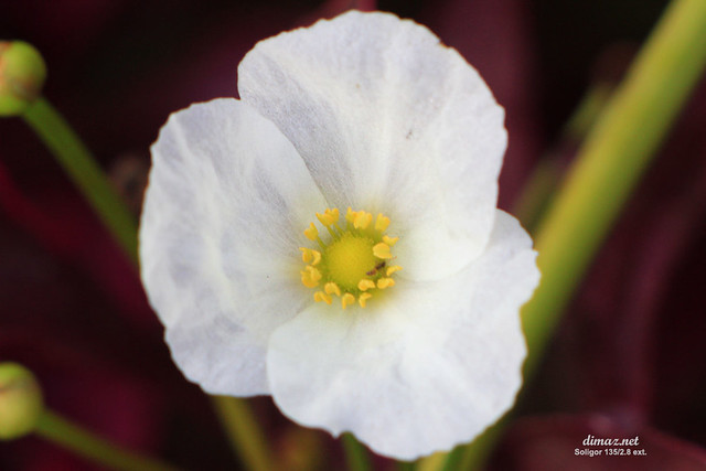 regional-balikpapan--sekitarnya