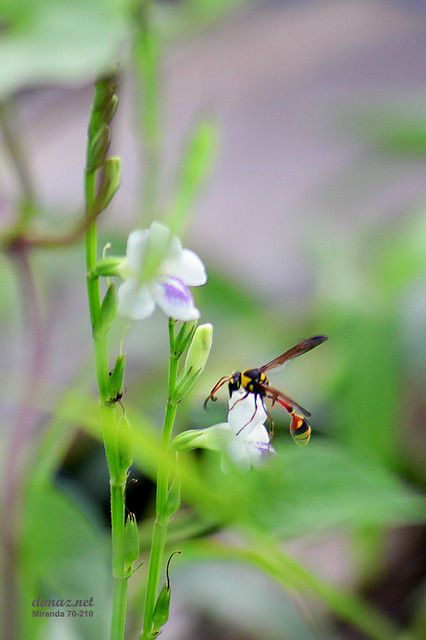 regional-balikpapan--sekitarnya