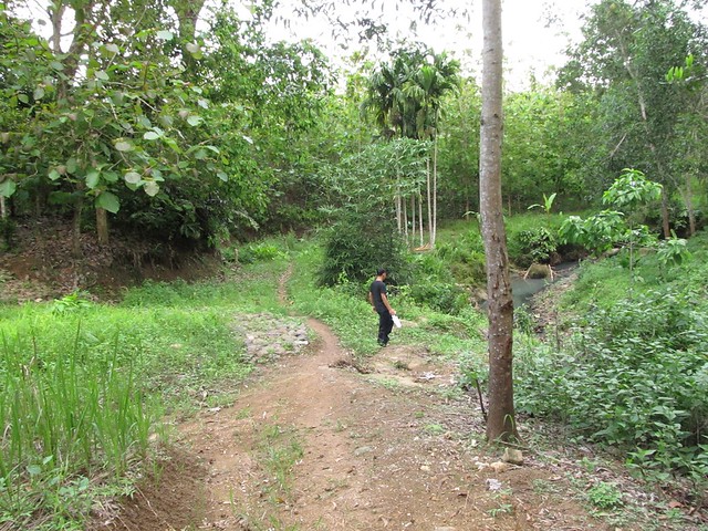 post-image