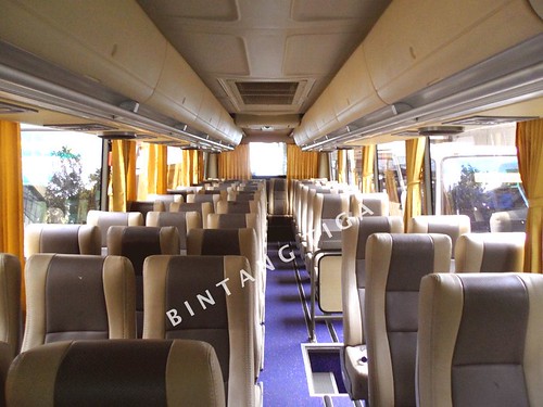 Sewa bus pariwisata murah JAKARTA BOGOR PO.BINTANG TIGA
