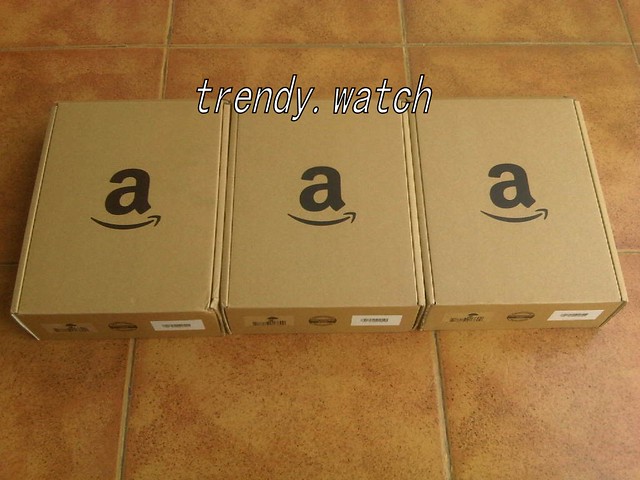 Cuci Gudang Kindle Touch Bonus Leather,screen guard (USA Best Seller)