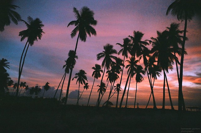 Nongkrong Bareng, Analog / Film Camera - Part 4
