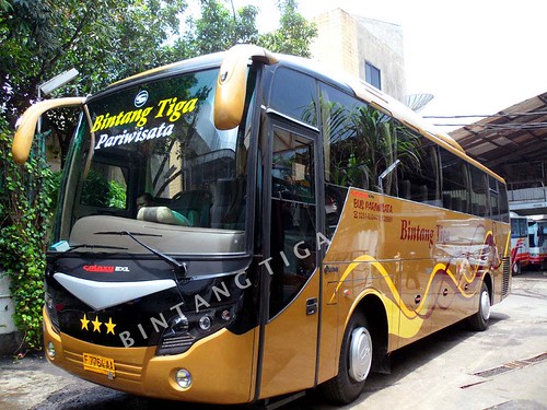 Sewa bus pariwisata murah JAKARTA BOGOR PO.BINTANG TIGA