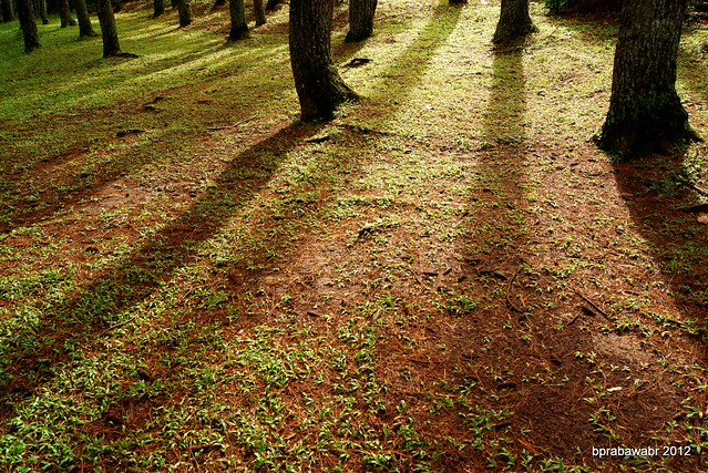 photo-games-foto-di-bawah-saya