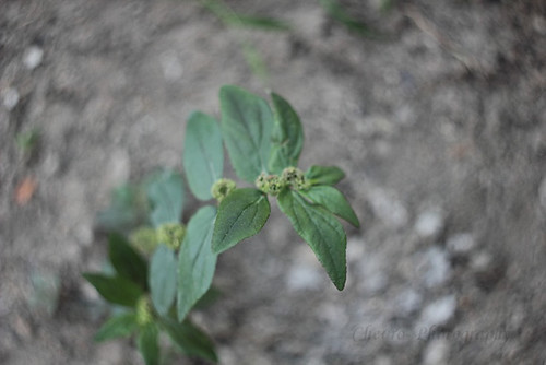 17691757photography17571769-galleries-tips-sharing--information