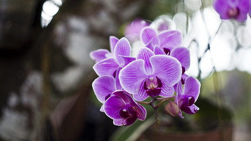 saung-lensa-manual---part-2