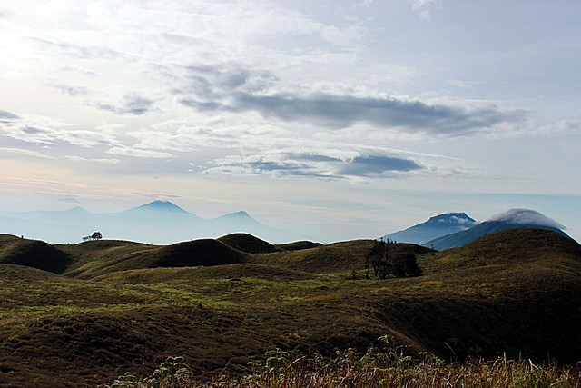 all-about-973397339733-dieng--abode-of-the-gods-973397339733