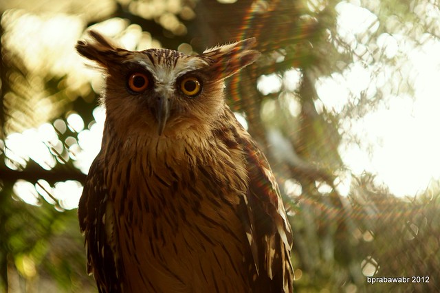 photo-games-foto-di-bawah-saya