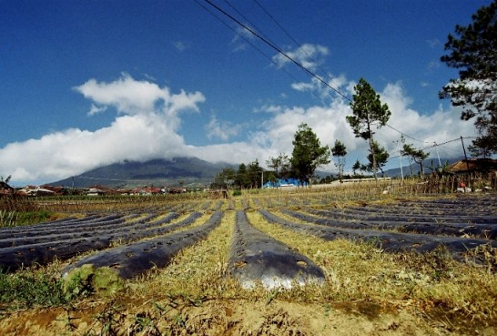 nongkrong-bareng-analog---film-camera---part-4