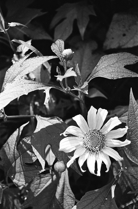 diskusi-kamar-gelap-film-bw---part-2