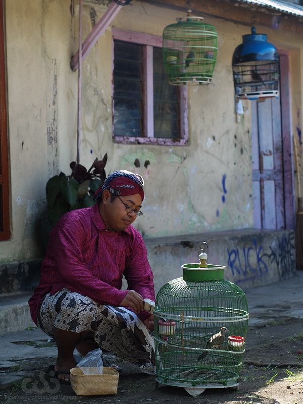 rumah-olympus---part-2