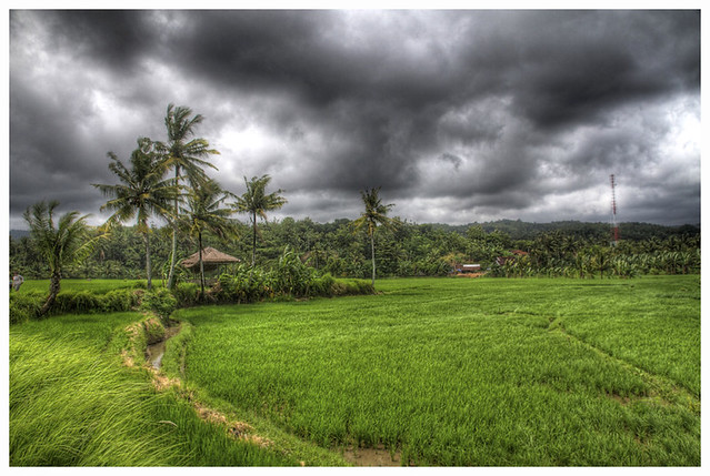 night-rider-photography-community