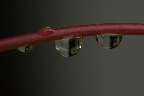 cafe-u--pengguna-panasonic---part-1